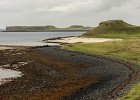 Coral beach